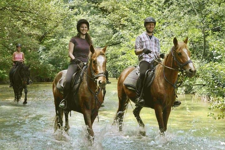 7-Day Horseback Riding Holiday in Tuscany's Maremma