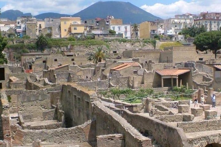 Herculaneum, Mt Vesuvius & Winery Shore Excursion from Naples
