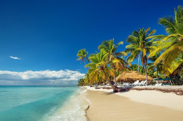 Saona Island Day Tour: Catamaran Trip, Natural Pool & Beach BBQ from Punta Cana photo 1