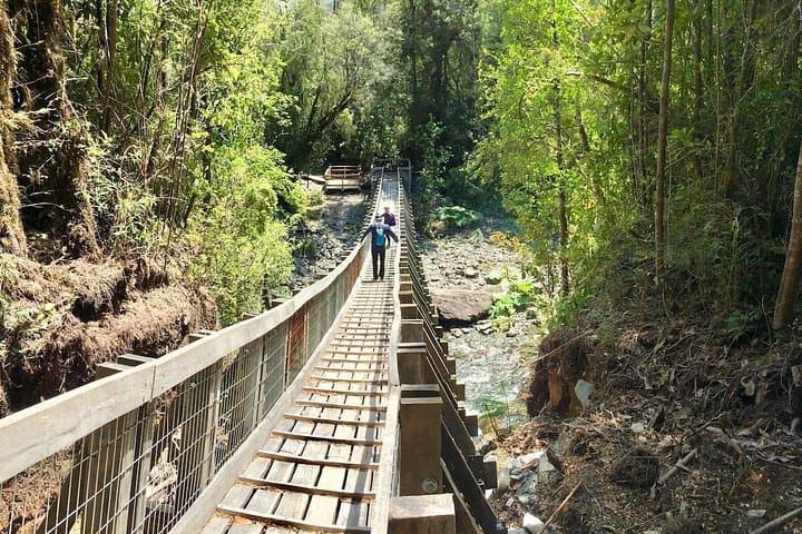 Full-Day Hike in Alerce Andino National Park: Ancient Alerce Forest Trek from Puerto Varas photo 2