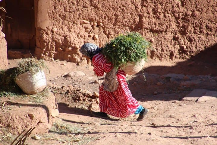 Fes to Marrakech: 4-Day Private Desert Tour & Overnight in Erg Chebbi photo 6