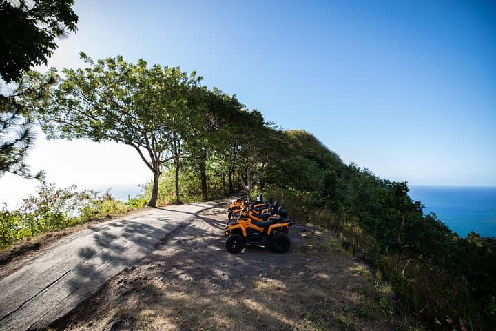 Moorea ATV Adventure: Pineapple Trails, Belvedere Lookout, and Opunohu Bay photo 5