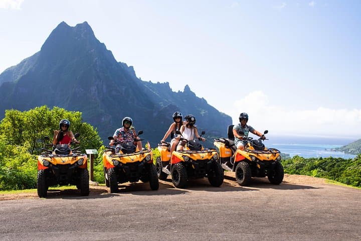 Moorea ATV Adventure: Pineapple Trails, Belvedere Lookout, and Opunohu Bay photo 6
