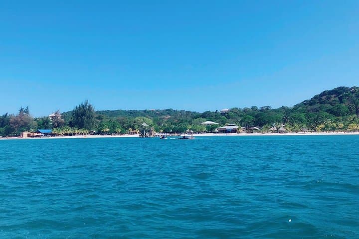 Roatán Best Nature Life: Short Private Nature Tour with Local Guide