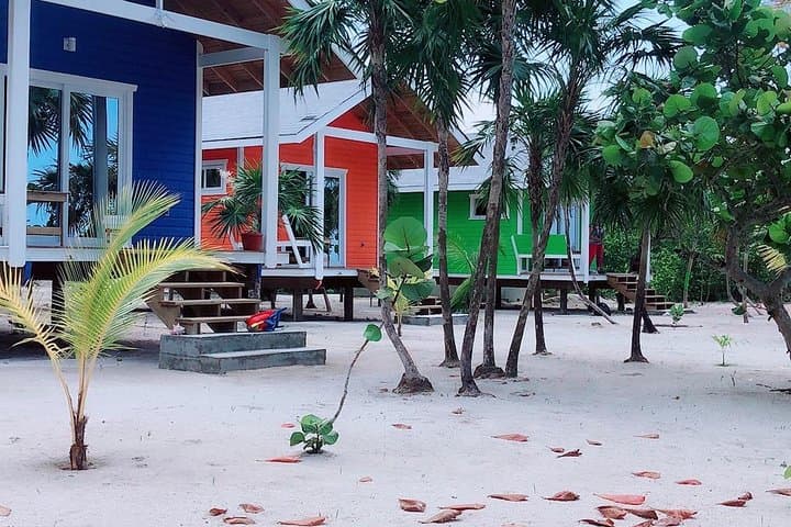 Roatán Best Nature Life: Short Private Nature Tour with Local Guide photo 3