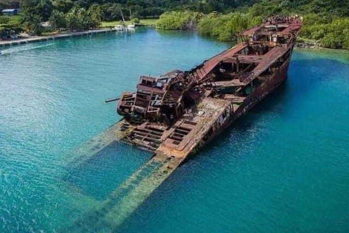 Roatán Best Nature Life: Short Private Nature Tour with Local Guide photo 5