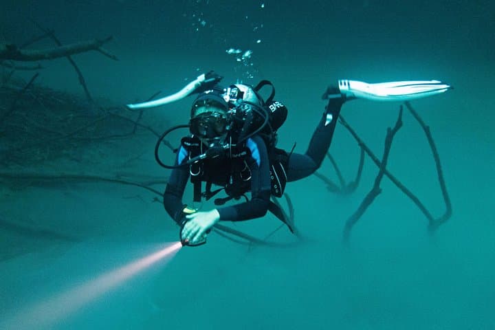 Diving Angelita and Actun-Ha Cenotes: One-Day Guided Dives from Playa del Carmen