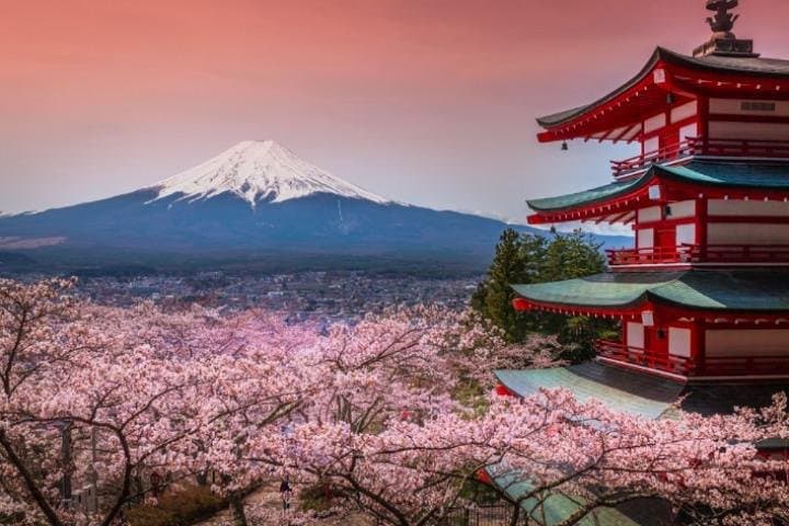 Chauffeur Day Trip to Mount Fuji, Lake Kawaguchi & Hakone from Tokyo