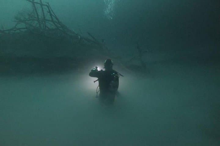 Diving Angelita and Actun-Ha Cenotes: One-Day Guided Dives from Playa del Carmen photo 4