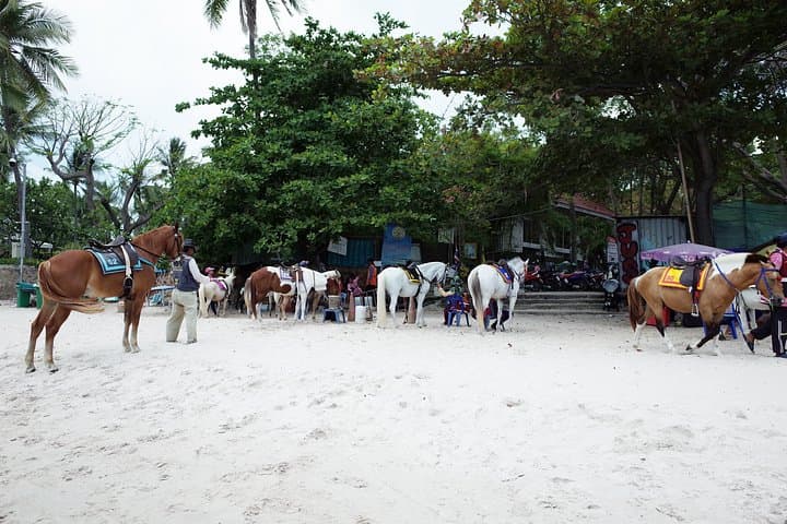 Hua Hin Custom Day Tour: Beaches, Phraya Nakhon Cave & Phra Nakhon Khiri photo 2