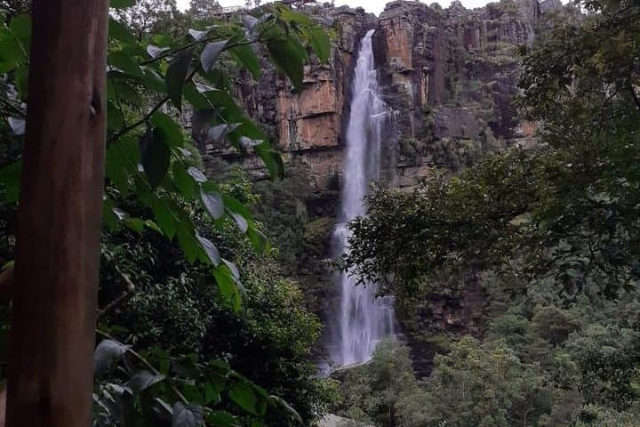 Panorama Hike from Hazyview: God's Window, Blyde River & Waterfall Views photo 6