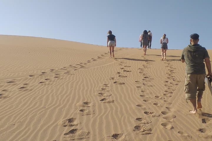 Anti-Atlas 4x4: Desert and Wild Beach Day Trip from Agadir