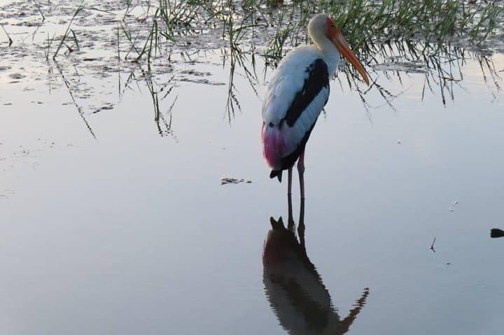 Yala National Park Full-Day Private Safari from Colombo or Negombo photo 6