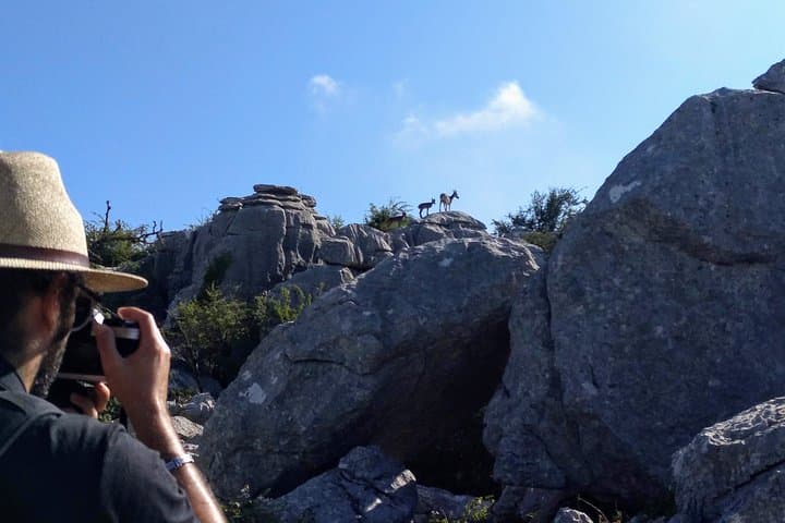 Walking Among Ammonites at El Torcal de Antequera: Guided Karst Hike photo 3