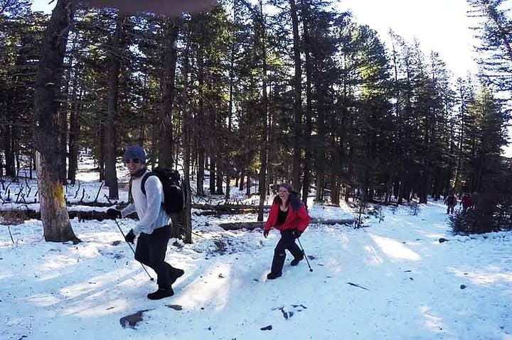 Hike Bogd Khan Mountain to Tsetsee Gun Peak — Day Trip from Ulaanbaatar