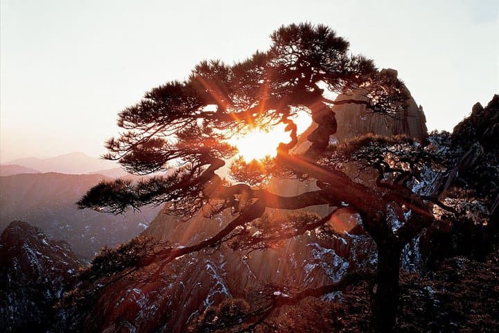 3-Day Huangshan Expedition: Yellow Mountain, Hongcun & Tunxi Ancient Street photo 4