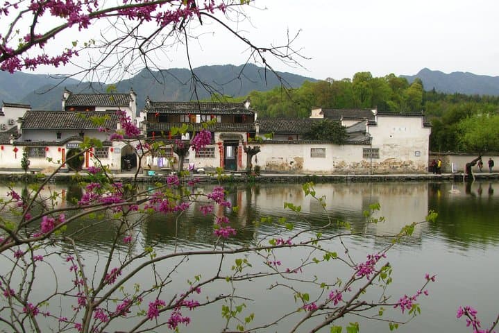 3-Day Huangshan Expedition: Yellow Mountain, Hongcun & Tunxi Ancient Street photo 5