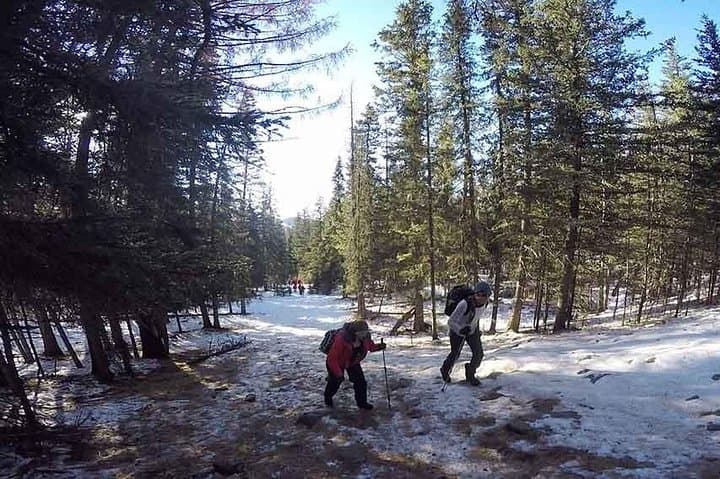 Hike Bogd Khan Mountain to Tsetsee Gun Peak — Day Trip from Ulaanbaatar photo 3