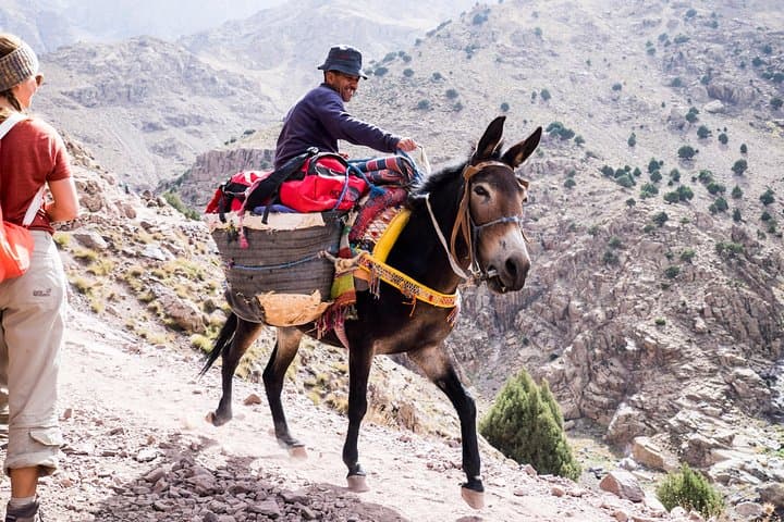 2-Day Mount Toubkal Trek: Summit North Africa’s Highest Peak from Marrakech photo 2