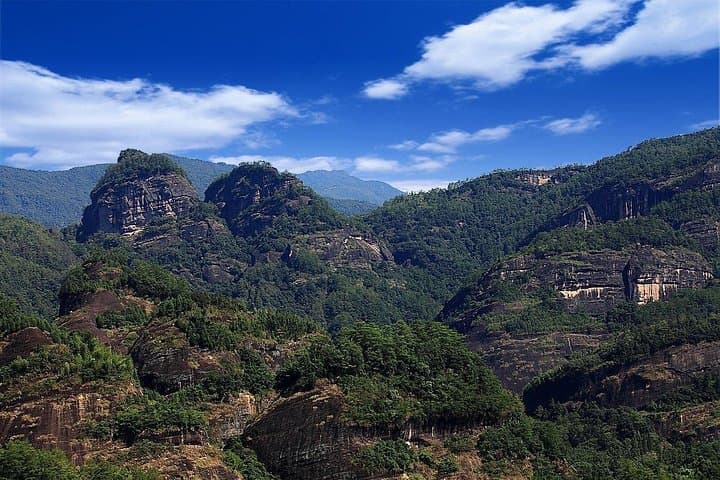 2-Day Wuyi Mountain Private Tour from Xiamen: Bullet Train, Bamboo Rafting & Tea Plantation photo 6