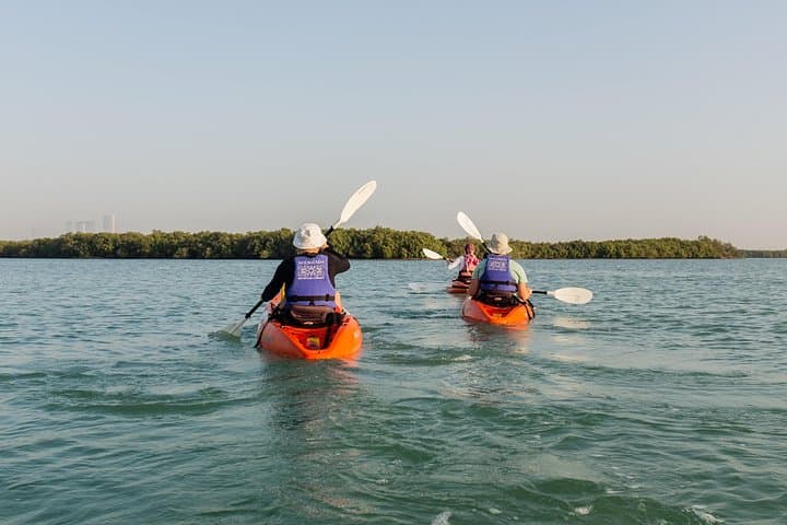 Paddle the Abu Dhabi Mangroves: Private Kayak Tour with Hotel Pickup photo 2