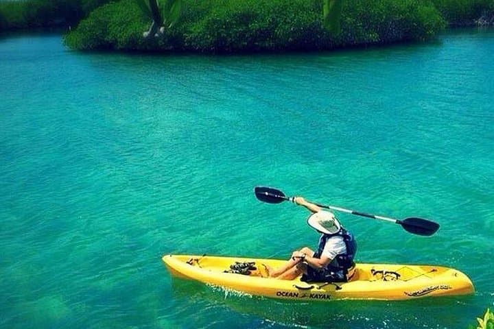 Paddle the Abu Dhabi Mangroves: Private Kayak Tour with Hotel Pickup photo 6