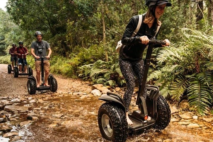 Segway the Tsitsikamma: 2-Hour Ride Through Storms River Village and the Big Tree