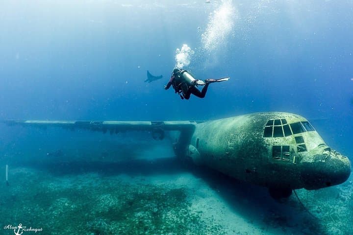 Aqaba Shore Certified Diving — Two Guided Dives at South Beach photo 5