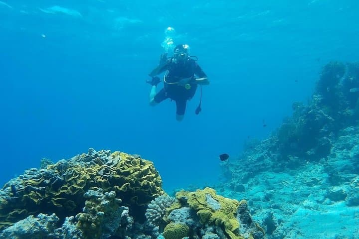 Aqaba South Beach Introductory SCUBA Dive — One Guided Shore Dive photo 2
