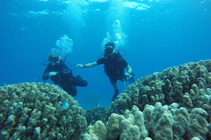 Aqaba South Beach Introductory SCUBA Dive — One Guided Shore Dive