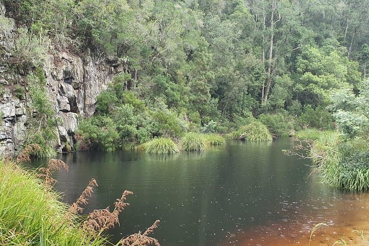 Electric Scooter Tours Through Tsitsikamma National Park (Stormsriver Village) photo 6
