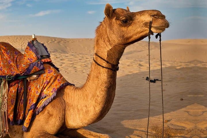Private 3-Day Marrakech to Merzouga Desert Tour: Camel Trek & Atlas Pass