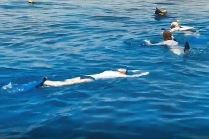 Aqaba Shore Snorkeling: Two-Hour South Beach Reef Excursion