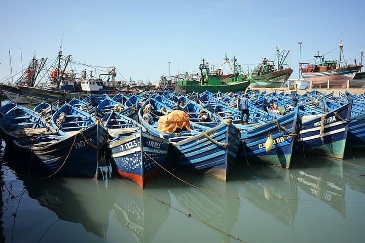 Essaouira Day Trip from Marrakech: Coastal Medina, Argan Co‑ops & Fresh Seafood photo 2