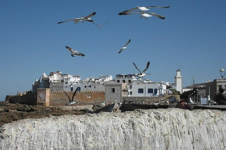 Essaouira Day Trip from Marrakech: Coastal Medina, Argan Co‑ops & Fresh Seafood photo 3