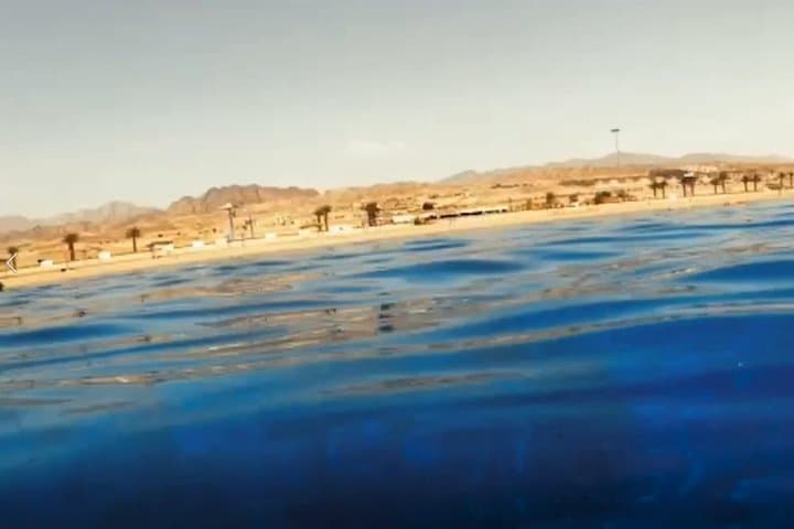 Aqaba Shore Snorkeling: Two-Hour South Beach Reef Excursion photo 3