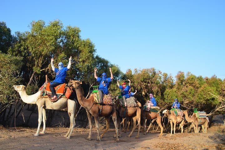 Essaouira Coastal Camel Ride — 2-Hour Beach Experience on Dromedaries