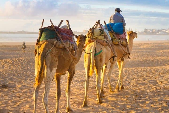 Route of 1000 Kasbahs: 9-Day Self-Drive from Marrakech photo 4