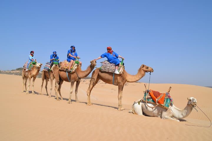 Essaouira Coastal Camel Ride — 2-Hour Beach Experience on Dromedaries photo 2