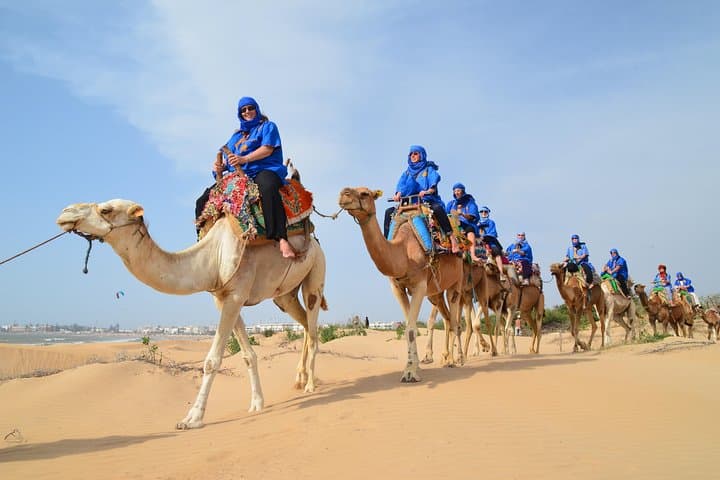Essaouira Coastal Camel Ride — 2-Hour Beach Experience on Dromedaries photo 3