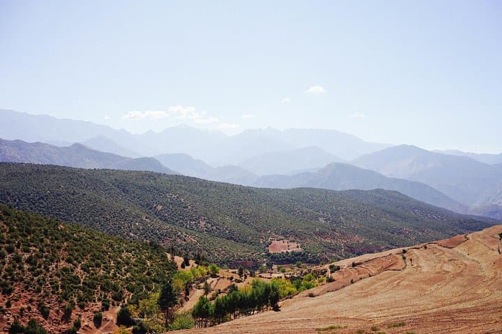 Agafay Desert & Atlas Mountains Day Trip from Marrakech — Takerkoust Lake, Camel Ride & Ourika Valley photo 2