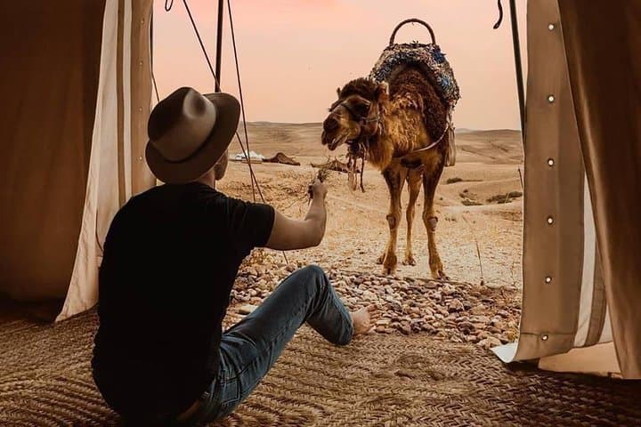 Agafay Desert & Atlas Mountains Day Trip from Marrakech — Takerkoust Lake, Camel Ride & Ourika Valley photo 5