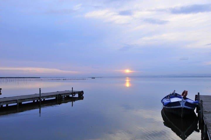 Albufera Boat Tour and Authentic Paella Tasting near Valencia photo 3