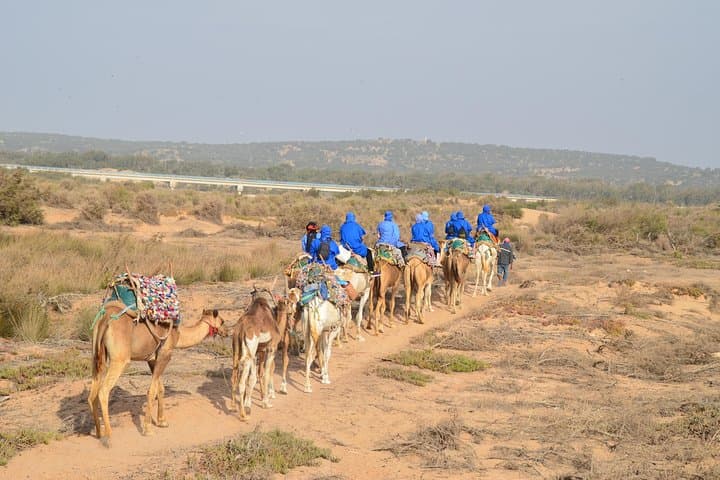 Essaouira Coastal Camel Ride — 2-Hour Beach Experience on Dromedaries photo 4