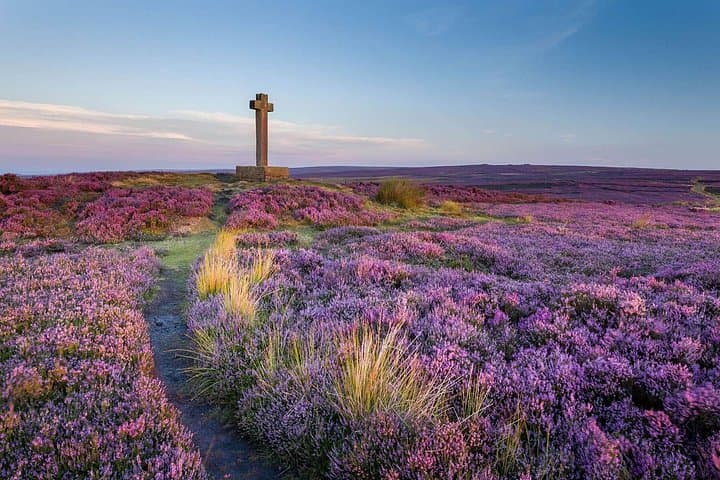 North York Moors, Whitby & Yorkshire Steam Railway: Private Day Trip from York photo 2