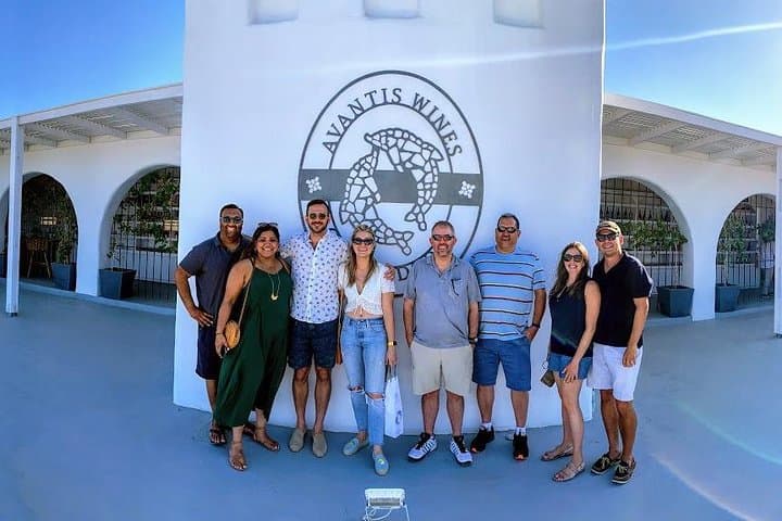 Santorini Half-Day Wine Tasting: Assyrtiko Tours & Caldera Cellars