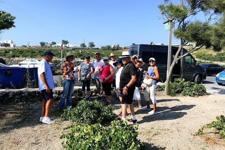 Santorini Half-Day Wine Tasting: Assyrtiko Tours & Caldera Cellars photo 3