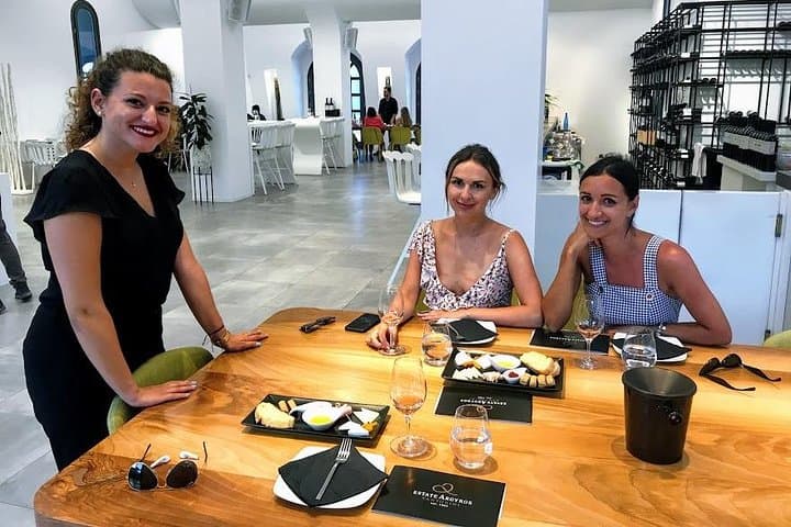 Santorini Wine and Food Experience: Half-Day Winery Tour with Pickup photo 6