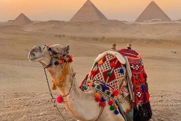 Giza Pyramids Camel & Horse Ride — Private Half-Day Sunset Tour