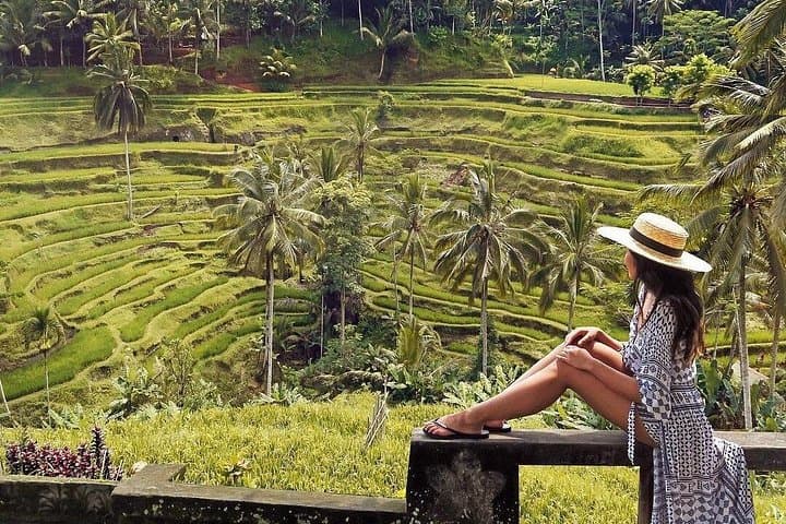 Blue Lagoon Snorkeling & Jungle Swing from Ubud — All-Inclusive Day Tour photo 4